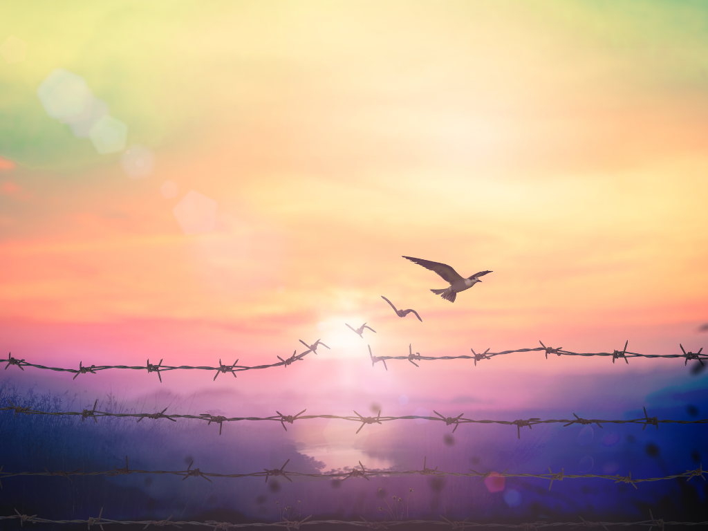 clearing karma through forgiveness