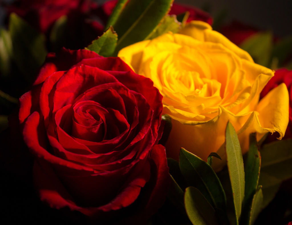 are twin flames meant to be together?